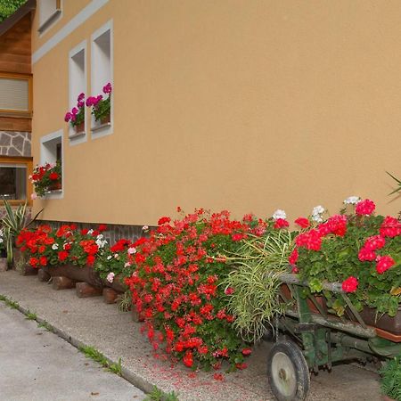 Apartament Apartma Erlah Bohinj Zewnętrze zdjęcie
