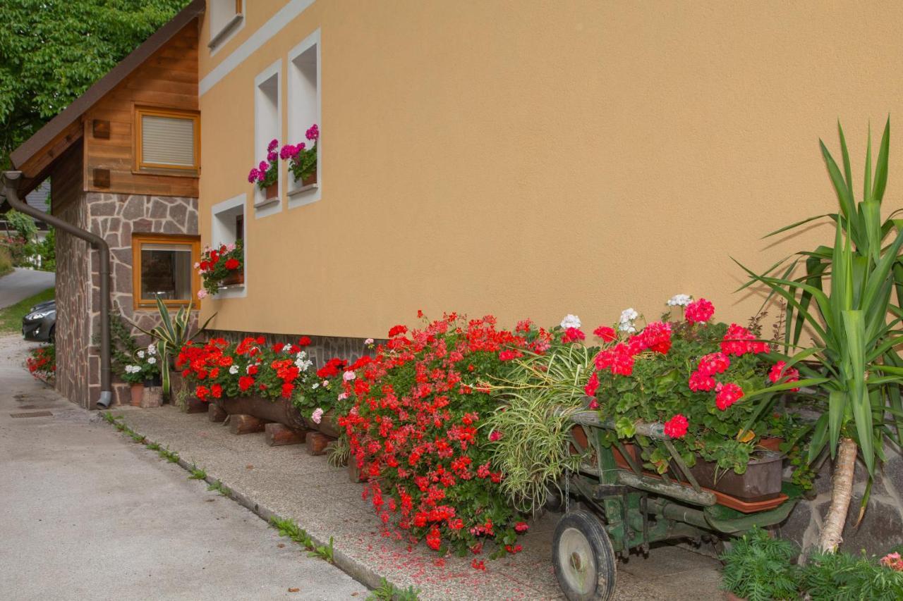 Apartament Apartma Erlah Bohinj Zewnętrze zdjęcie